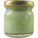 Depposite Seramik ve Çini Boya 40GR 8824 Iznik Turkuaz Yeşili