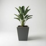 DEQQU Aura Conica 50X40CM Fiber Konik Saksı - Mat - Büyük Saksı - Fiberglass Saksı - Antrasit