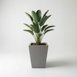 DEQQU Aura Conica 50X40CM Fiber Konik Saksı - Mat - Büyük Saksı - Fiberglass Saksı - Gri
