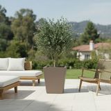 DEQQU Aura Conica 50X40CM Fiber Konik Saksı - Mat - Büyük Saksı - Fiberglass Saksı - Vizon