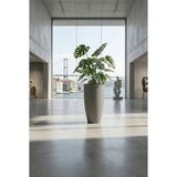 DEQQU Aura Curva 75X42CM Kıvrımlı Konik Fiberglass Saksı Büyük Boy Iç Dış Mekan Dış Mekan - Gri