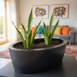 DEQQU Aura Elipso 40X30X20CM Elips Fiber Saksı Mat - Iç ve Dış Mekan Büyük Saksı - Antrasit