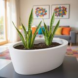 DEQQU Aura Elipso 40X30X20CM Elips Fiber Saksı Mat - Iç ve Dış Mekan Büyük Saksı - Beyaz
