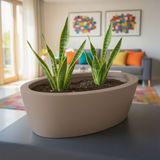 DEQQU Aura Elipso 40X30X20CM Elips Fiber Saksı Mat - Iç ve Dış Mekan Büyük Saksı - Vizon