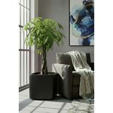 DEQQU Aura Softbox 30X35CM Fiber Soft-Küp Saksı - Mat - Büyük Saksı - Fiberglass Saksı - Siyah