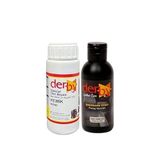 Derby Deri Mont Boyası 100ml, BS-FIX Yarı Parlak Sabitleme Cilası 100 ml ve Sünger (Kemik)
