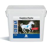 Derby Gastro Forte 5 Kg