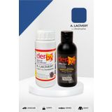 Derby Special Açık Lacivert Deri Boyası Ve Cilası 100 Ml - 2'Li Set / Mont Eşya Çanta Deri Boyası