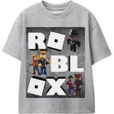 Dereff Roblox T-Shirt - Gri - 13 - 14 Yaş
