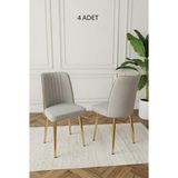 Deren Home Ada Gold 4 Adet Silinebilir Baby Face Kumaş Metal Ayak Mutfak Salon Sandalyesi - Açık Gri