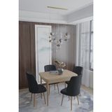 Deren Home Arya Serisi 70X110 Sabit Masa +4 Krem Sandalye Silinebilir Ithal Baby Face Kumaş - Ahşap - Siyah
