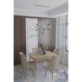 Deren Home Arya Serisi 70X110 Sabit Masa +4 Krem Sandalye Silinebilir Ithal Baby Face Kumaş - Kapuçino
