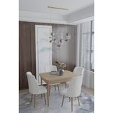 Deren Home Arya Serisi 70X110 Sabit Masa +4 Krem Sandalye Silinebilir Ithal Baby Face Kumaş