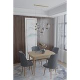 Deren Home Arya Serisi 70X110 Sabit Masa +4 Sandalye Silinebilir Ithal Baby Face Kumaş - Antrasit