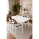 DEREN HOME Calvin Serisi 80x130 Açılabilir Masa 4 Adet Silinebilir Sandalye Masa Takımı Metal İskelet Gri