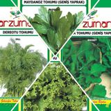 DEREOTU-ROKA-KIVIRCIK MARUL-MAYDANOZ 4'LÜ TOHUM SETİ