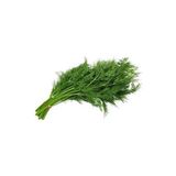 Dereotu Toros Meltemi Tohumu Paket 10 Gram