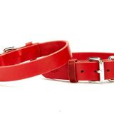 Deri El Yapımı Köpek Boyun Tasması 1,5X32-37 Cm Kırmızı