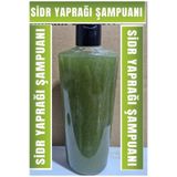 DERİNSU KİMYA SİDR YAPRAĞI ŞAMPUANI 240 ML