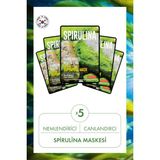 Dermal 5x25 gr Spirulina It's Real Super Gıda Yüz Maskesi