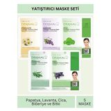 Dermal Yatıştırıcı Etkili Papatya Lavanta Cica Biberiye Ve Bitki Özlü Maske Seti 23Gr X 5Adet
