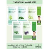 Dermal Yatıştırıcı Etkili Yeşil Çay Aloe Salatalık Biberiye ve Bitki Özlü Maske Seti 23gr x 5Adet