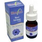 Dermo Soft 20 ml Mavi Anemon Yağı
