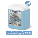 DERMOSEPT Handplus El Ve Cilt Antiseptiği 5 L - 4 Lü Paket