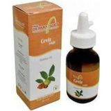 Dermosoft 50 ml Ceviz Yağı