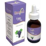 Dermosoft 50 ml Üzüm Çekirdeği Yağı