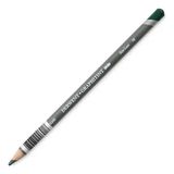Derwent Graphıtınt Slote Green 08 Kuru Sulu Boya Kalemi