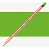 Derwent : Lightfast : Kuru Boya Kalemi : Grass Green (70%)