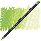 Derwent Procolour 49 Grass Green Kuru Boya Kalemi
