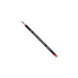 Derwent TC15 Tonlanmış kömür kalem, yeşil yosun