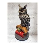 DERYA DESİNG ART Dekoratif Polyester Kitaplı Baykuş Biblo, 24x10cm, Çok Renkli
