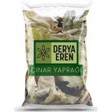 Derya Eren 100 gr Derin Yırtıklı Çınar Yaprağı