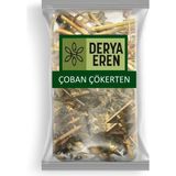 Derya Eren Çoban Çökerten Tribulus Terrestris 500 gr