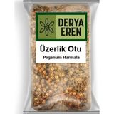 Derya Eren Üzerlik Otu 500gr - Bitki Çayı