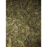 Derya Eren Yapışkan Andız Otu Manisa 100g