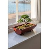 Desen Dekorasyon Metal Dikdörtgen Bonsai ve Sukulent Saksısı 31 cm - Vintage Ayaklı Dekoratif Çiçeklik Saksı - Kiremit