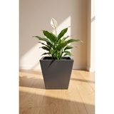 Desen Dekorasyon Zenith 30 cm Dikey Metal Saksı - Iç ve Dış Mekan Modern Dekoratif Saksılık (30X30/20 Cm) - Antrasit