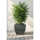 Desen Dekorasyon Zenith 30 cm Kare Kavisli Metal Antrasit Saksı - İç ve Dış Mekan Modern Metal Saksılık (30x30/20 cm)