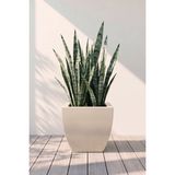 Desen Dekorasyon Zenith 30 cm Kare Kavisli Saksı Krem - Iç ve Dış Mekan Modern Metal Saksılık (30X30/20 Cm)