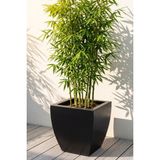 Desen Dekorasyon Zenith 30 cm Kare Kavisli Saksı Siyah - Iç ve Dış Mekan Modern Metal Saksılık (30X30/20 Cm)