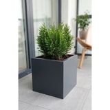 Desen Dekorasyon Zenith 30 cm Kare Küp Metal Saksı - Iç & Dış Mekan Modern Dekoratif Saksılık (30X30X30 Cm) - Antrasit