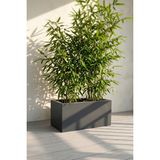 Desen Dekorasyon Zenith 40x20x20 cm Yatay Dikdörtgen Antrasit Saksılık - İç & Dış Mekan Modern Metal Saksı