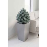 Desen Dekorasyon Zenith 50 cm Dikey Konik Metal Gri Saksı - İç ve Dış Mekan Modern Dekoratif Saksılık (50X30/20 Cm)