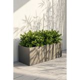 Desen Dekorasyon Zenith 60x20x20 cm Yatay Dikdörtgen Antrasit Saksılık - İç & Dış Mekan Modern Metal Saksı