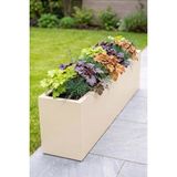 Desen Dekorasyon Zenith 97X20X30 cm Metal Yatay Dikdörtgen Krem Saksılık - Iç ve Dış Mekan Modern Metal Saksı