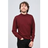 Desen Triko 0249604 Bordo Erkek Kazak